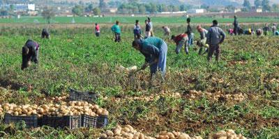 AGRICULTURE-ALGERIA: GOVERNMENT TARGETS FOOD SECURITY AND TRADE DEFICIT REDUCTION
