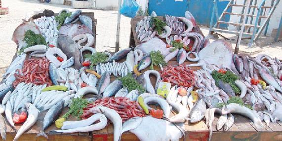 Algérie : Baisse des prix du poisson , Surexploitation des ressources halieutiques cause principale