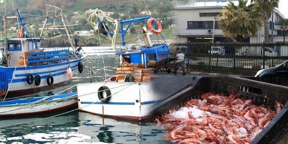 Algérie-UE: Acquisition d'un Data center pour les statistiques de pêche