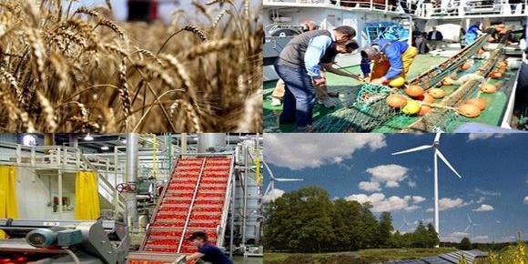 Algérie-UE: des projets de plus de 200 millions d’euros pour la diversification de l’économie