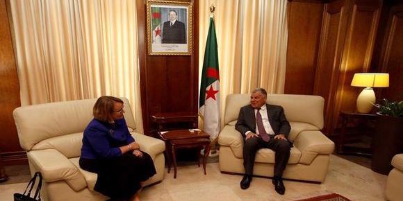 Algérie : Guitouni s'entretient sur la coopération algéro-américaine avec Polaschik