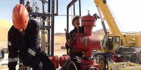 Algérie : Sonatrach a versé au Trésor Public plus de 1.800 milliards de dinars en 2016