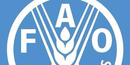 International : FAO , Hausse des prix des produits alimentaires