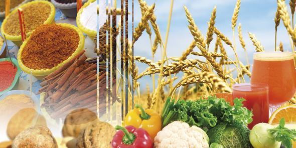 1er Salon agroalimentaire de Boumerdès du 22 au 26 Août : Vocation agricole par excellence