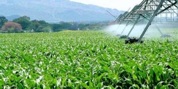 Algérie : Brahim Mouhouche de l’école supérieure d’agronomie , L’Algérie vit une situation de sécheresse