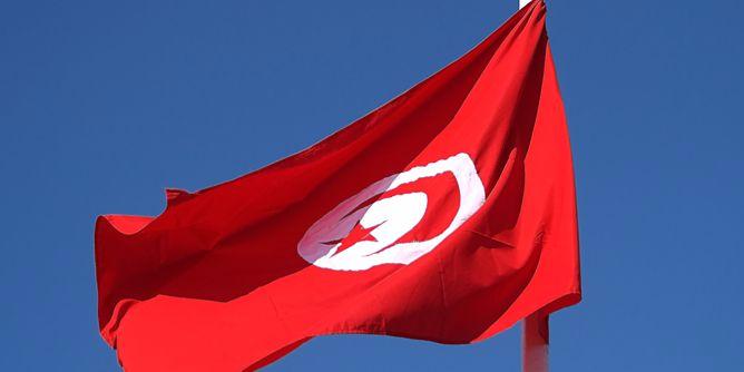 تونس تحتضن المنتدى الافريقي للطاقة والتحديات البيئية