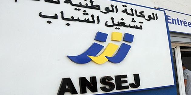 Grace au dispositif de l’ANSEJ : Vers la création de 600 projets en 2018