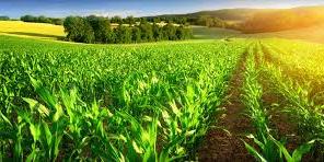 Clôture dimanche des travaux des ateliers en prévision des Assises nationales de l'agriculture