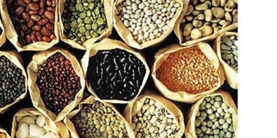 إنجاز مشروع لتحويل البذور الزيتية بجيجل