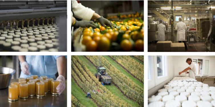 Le président de la FAA pointe des filières "malmenées" Agro-alimentaire