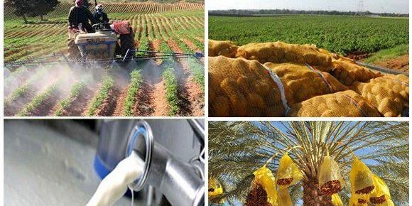 Commerce: plusieurs propositions pour accompagner les exportateurs de produits agricoles examinées