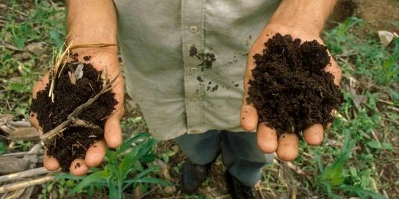 Algérie: FAO, la dégradation des sols dans le monde affecte la production alimentaire