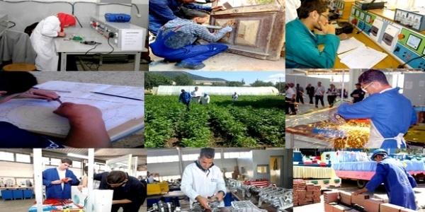 Algérie: Formation professionnelle 2018 , sept nouvelles spécialités pour une inscription en Technicien Supérieur