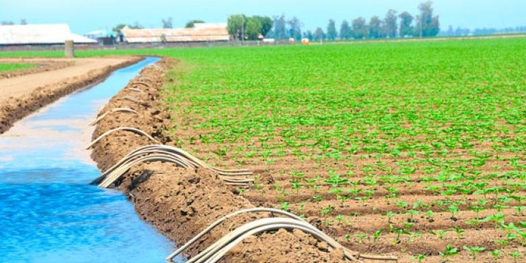 Algérie: Mostaganem, une cinquantaine d'exposants au Salon international d'agriculture