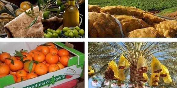 Algérie: Croissance des exportations de produits agricoles de 50% dans les 7 premiers mois de 2018