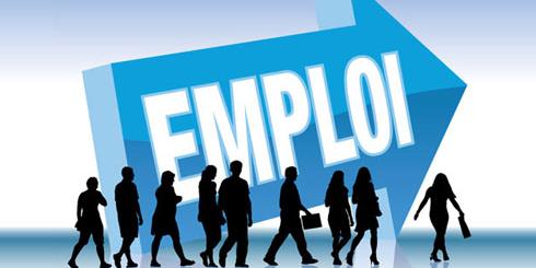 Algérie: 1er salon du recrutement 600 offres cherchent postulants
