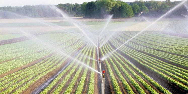 Tunisie-Un agronome tunisien invente un irrigateur souterrain , 70% d’économies d’eau