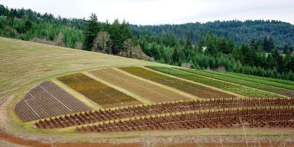 Imposition d'une taxe BENEFICIAIRES DE TERRAINS INEXPLOITES DEPUIS PLUS DE 3 ANS