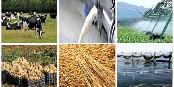 Algérie-7ème Salon de l'Industrie agroalimentaire «SIAG 2019»: Plus de 200 exposants nationaux et étrangers attendus à Oran le 27 mars
