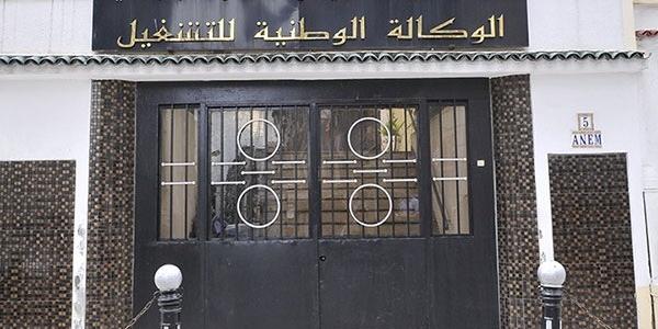 الشروع رسميا في إدماج أصحاب عقود ما قبل التشغيل