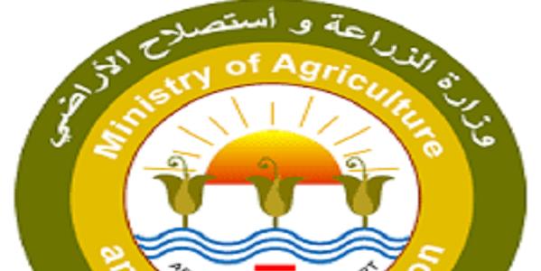 ارتفاع صادرات مصر الزراعية لـ أكثر من 3.7 مليون طن