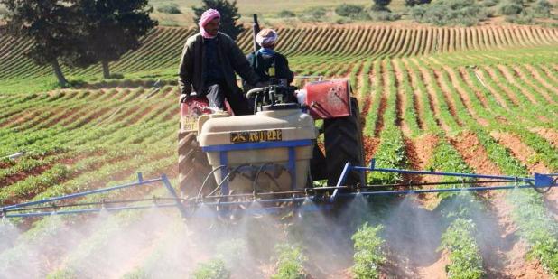 Algerie:Agriculture ,Tout sur le plan spécial 2020-2024
