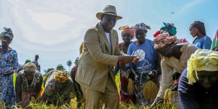 Sénégal:Agriculture , Les réalisations gigantesques et innombrables du Président Macky Sall dans ce secteur