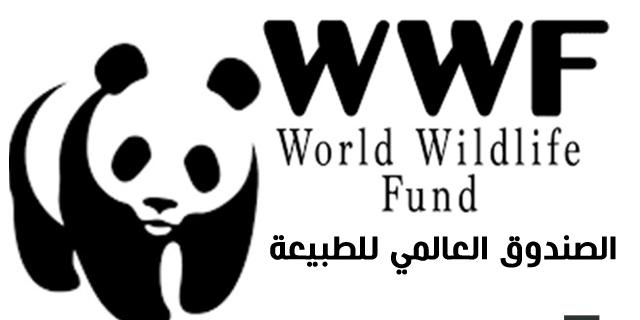 تونس :الصندوق العالمي للطبيعة يعبّر عن رفضه القاطع للأمر الوزاري القاضي باستعمال البلاستيك لتعبئة مادّة الاسمنت