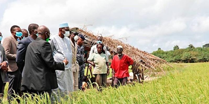 Cote d'ivoire:Riziculture ,Le ministre Gaoussou Touré s’imprègne des réalités des acteurs de San Pedro et de Tabou