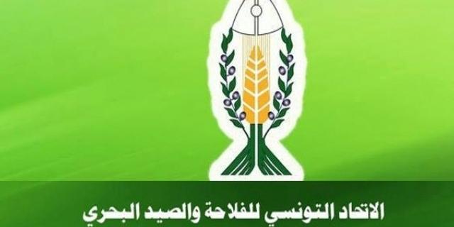 تونس :اتحاد الفلاحة يدعو إلى الاسراع في الاعلان عن أسعار البذور الممتازة للحدّ من الاحتكار