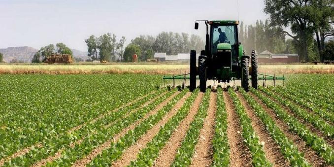 Cote d'ivoire:Bluebird signe un projet agricole de 180 millions d’euros pour la Côte d’Ivoire