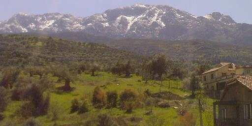 Algerie:Partenariat entre le PND et l’UE pour le financement de six micro-projets agricoles à Tizi-Ouzou