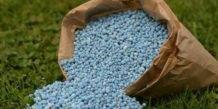 Tunisie:Vers l’importation de 60 000 tonnes d’ammonitrate par le Groupe chimique tunisien
