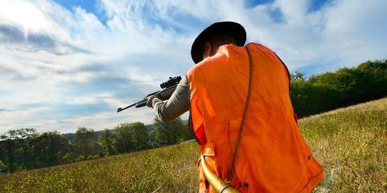 Algerie:Reprise de l'activité de chasse, appel au respect des dispositions légales et règlementaires