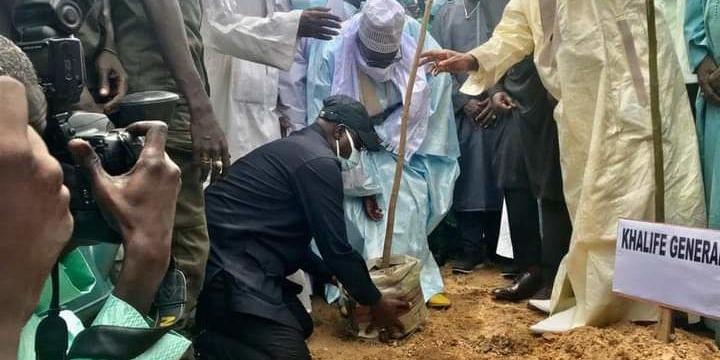 Sénégal:24.000 plantes pour reboiser l’autoroute Ila Touba