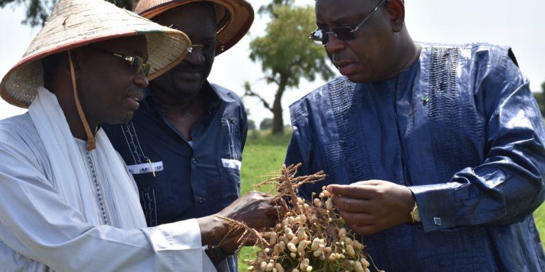 Sénégal:Reprises des tournées économiques, Macky Sall dans le Sine-Saloum