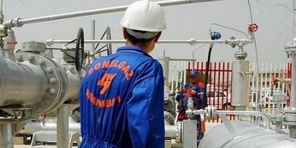 Algerie:Sonelgaz, Un contact direct avec les investisseurs pour leur assurer des prestations de qualité