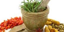 La Tunisie aura bientôt son répertoire des plantes médicinales, aromatiques et à parfum