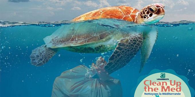 Tunisie:Déchets marins ,La Tunisie participe à la campagne “Clean Up The Med”
