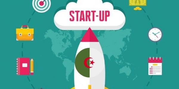 "الجزائر:لجنة وطنية لمنح علامات "مؤسسة ناشئة" و "مشروع مبتكر" و"حاضنة أعمال