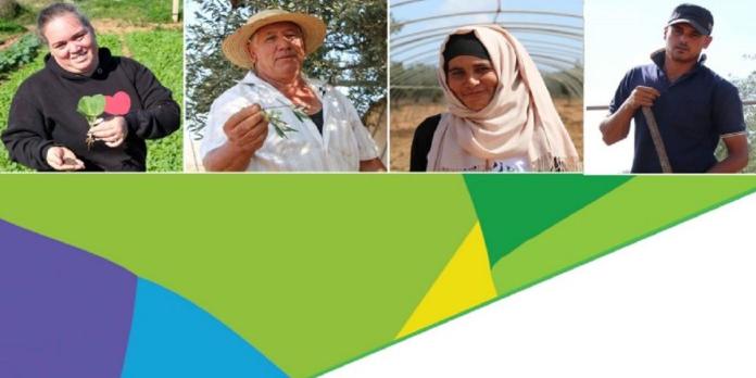 Tunisie:Le FTDES lance une étude sur les petites exploitations agricoles en Tunisie