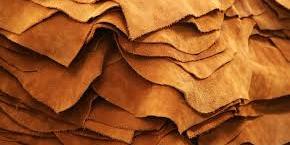 EGYPT : Trade Minister meets with producers, exporters to discusses boosting Egypt’s leather industry