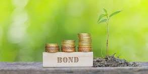 Egypt to become first Arab country to issue Green bonds