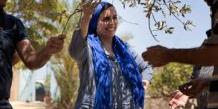 Tunisie:Atelier de transformation de dattes à Kébili pour une entreprise gérée par des femmes