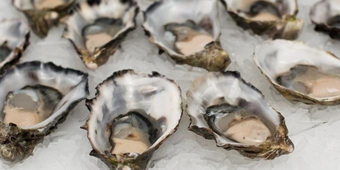 Morocco to Invest $1.4 Million Into Souss-Massa Aquaculture