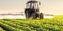 Tunisie:La Commission gouvernement-UTAP décide de plusieurs mesures au profit du secteur agricole