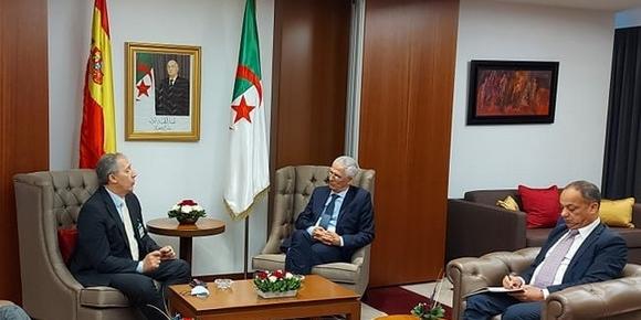 Algérie;Volkswagen , la concrétisation d'un projet industriel en Algérie étudiée