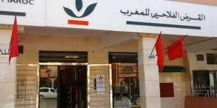المغرب : الأرباح الصافية للقرض الفلاحي ناهزت 450 مليون درهم في النصف الأول من العام