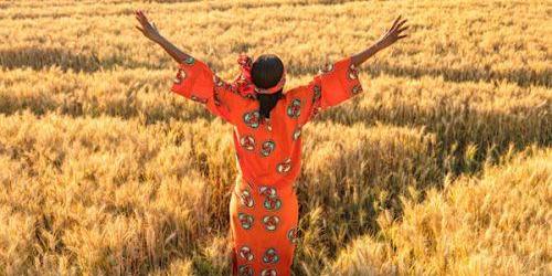 SENEGAL:CÉLÉBRATION DE LA JOURNÉE MONDIALE DE L’AGRICULTURE, VENDREDI