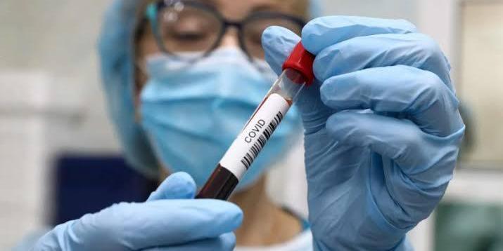 Egypt : WHO warns against herd immunity strategy to curb COVID-19 spread